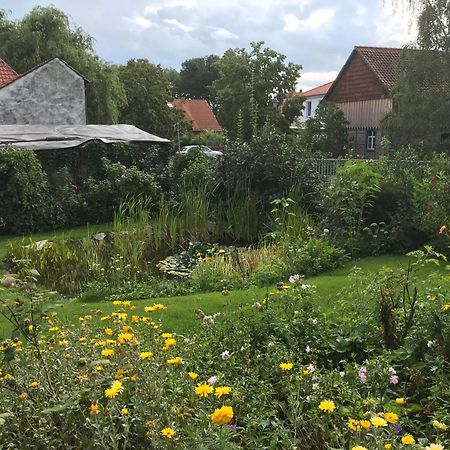 Schoene Gemuetliche Ferienwohnung Mit Kamin II Im Harz Darlingerode 外观 照片