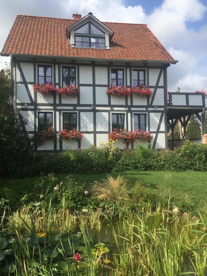 Schoene Gemuetliche Ferienwohnung Mit Kamin II Im Harz Darlingerode 外观 照片